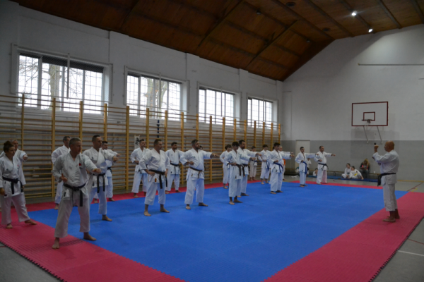 karate-szkolenie00259AEE3FB-3A4C-77FE-DD7A-5310C4ECCBFF.png