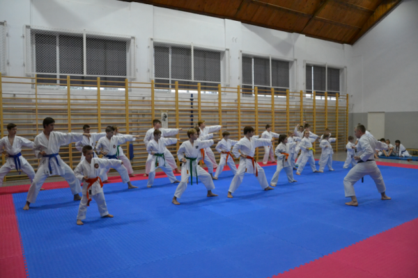 karate-szkolenie00656B73380-E576-ABD0-6185-B2560B587AD1.png